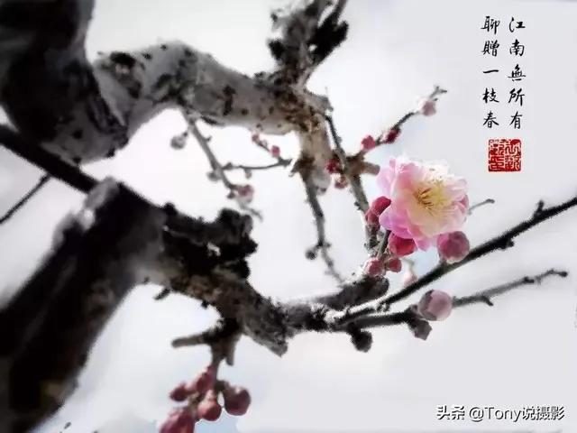 每日一诗《念奴娇·赤壁怀古》赏析