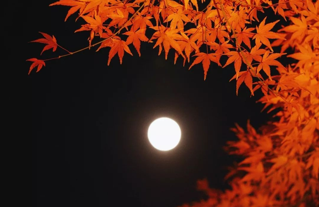 「诗词鉴赏」十五首中秋的诗词,好时节 愿得年年 常见中秋月
