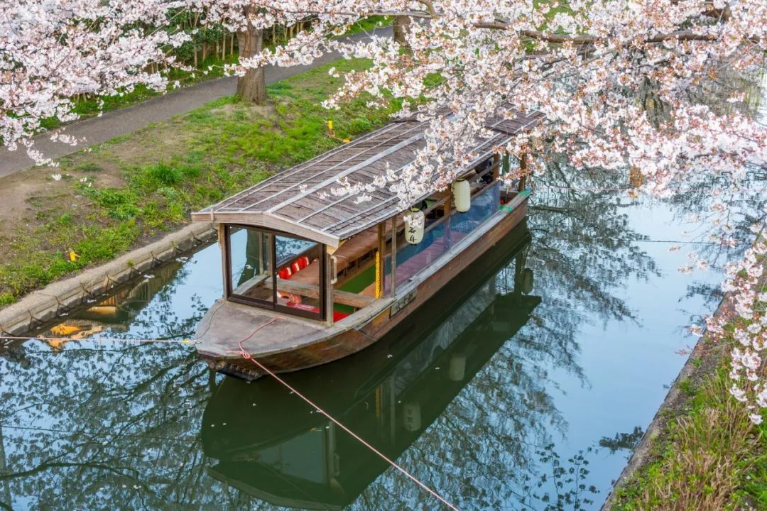 10首春游诗词，看古人春天有多浪漫