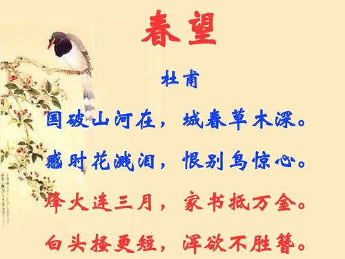 古诗词‖杜甫《春望》诗词鉴赏