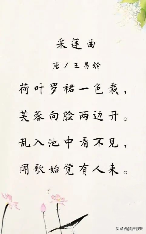 《采莲曲》 ‖古诗词赏析