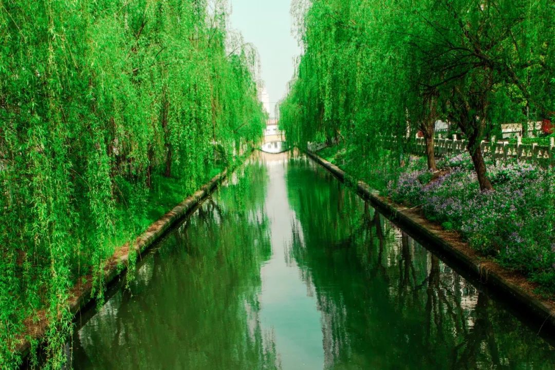 适合春天发朋友圈的诗句,浪漫又唯美