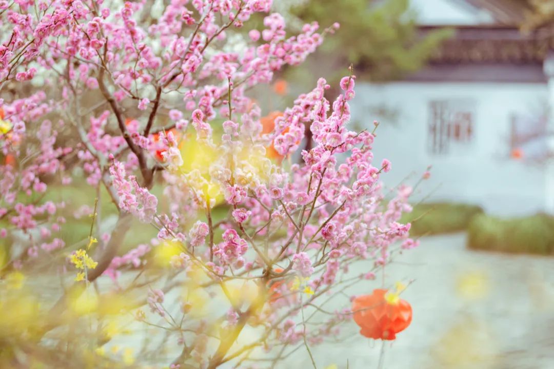 适合春天发朋友圈的诗句,浪漫又唯美