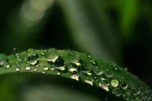 20 首必读的乐府诗,哪首最经典?