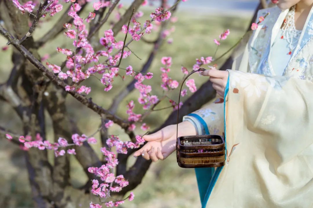 适合春天发朋友圈的诗句,浪漫又唯美