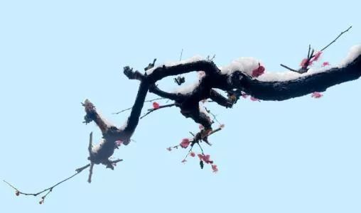 20 首必读的乐府诗,哪首最经典?