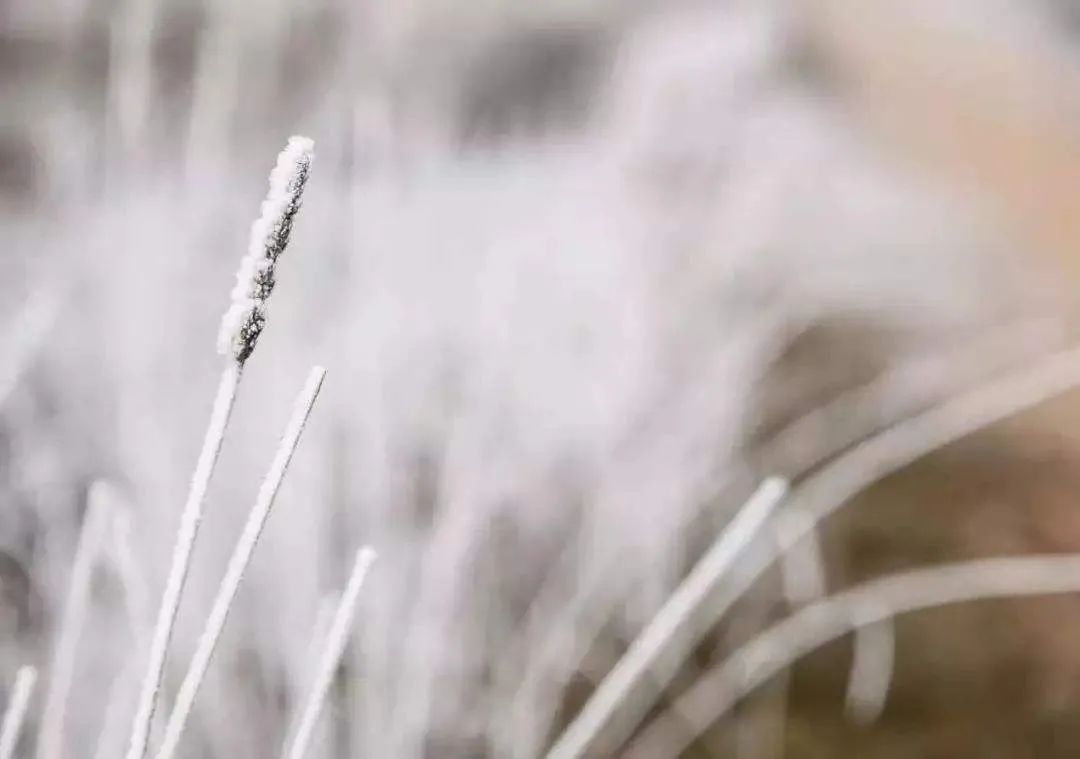 「诗词鉴赏」十首大雪的诗句,在大雪节气里品读诗词