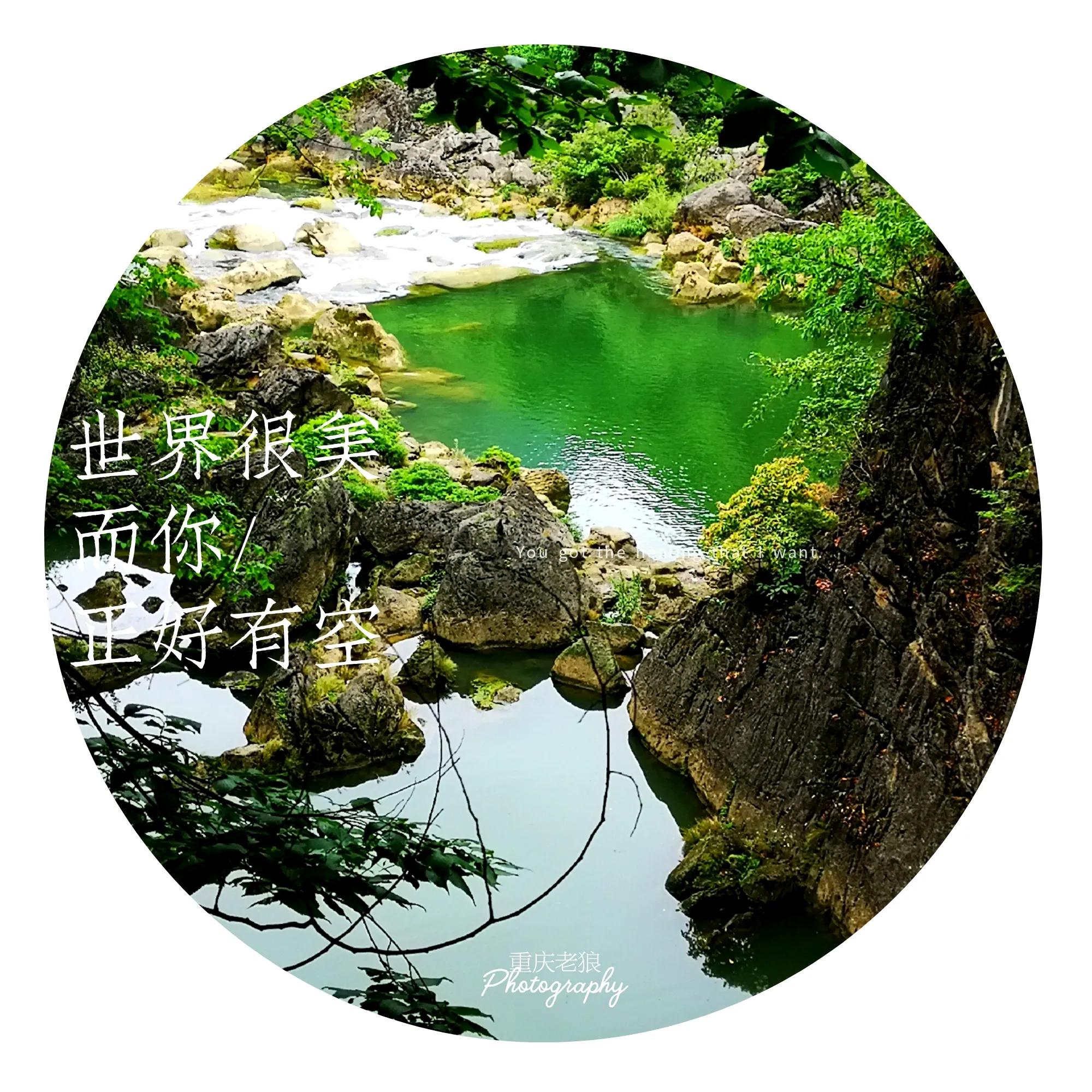 每日一诗《赠花卿》赏析