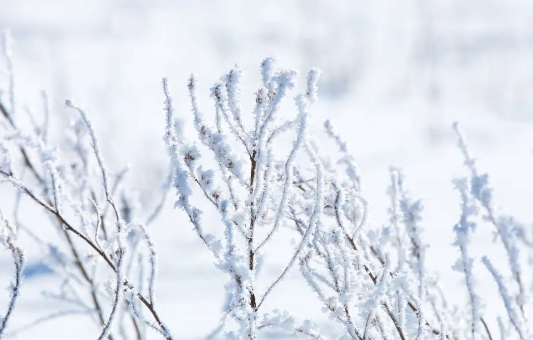写雪最美的10首诗词,如冰如玉,纯美轻盈,美到灵魂里