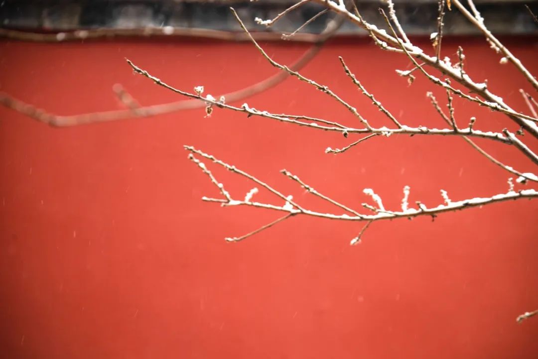 写雪最美的10首诗词,如冰如玉,纯美轻盈,美到灵魂里