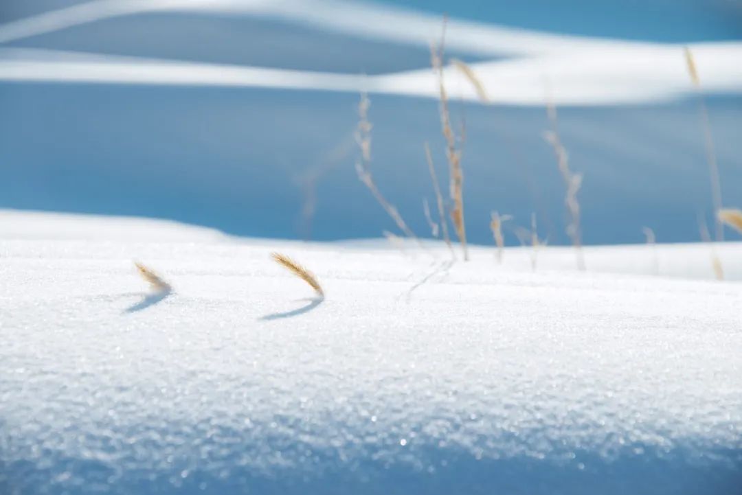 写雪最美的10首诗词,如冰如玉,纯美轻盈,美到灵魂里