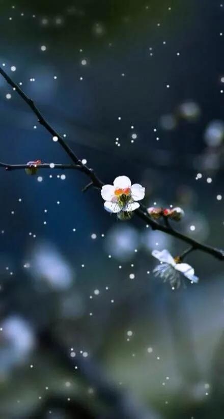 含蓄隽永 清丽自然——李煜《清平乐》赏析