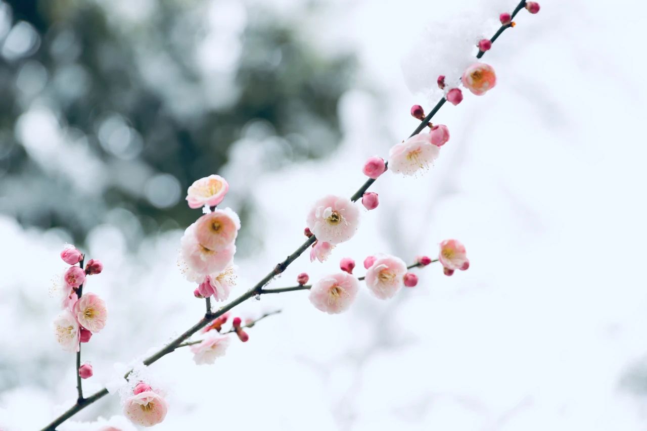 《唐诗三百首》中最美的10首诗,诗情画意,人间绝美