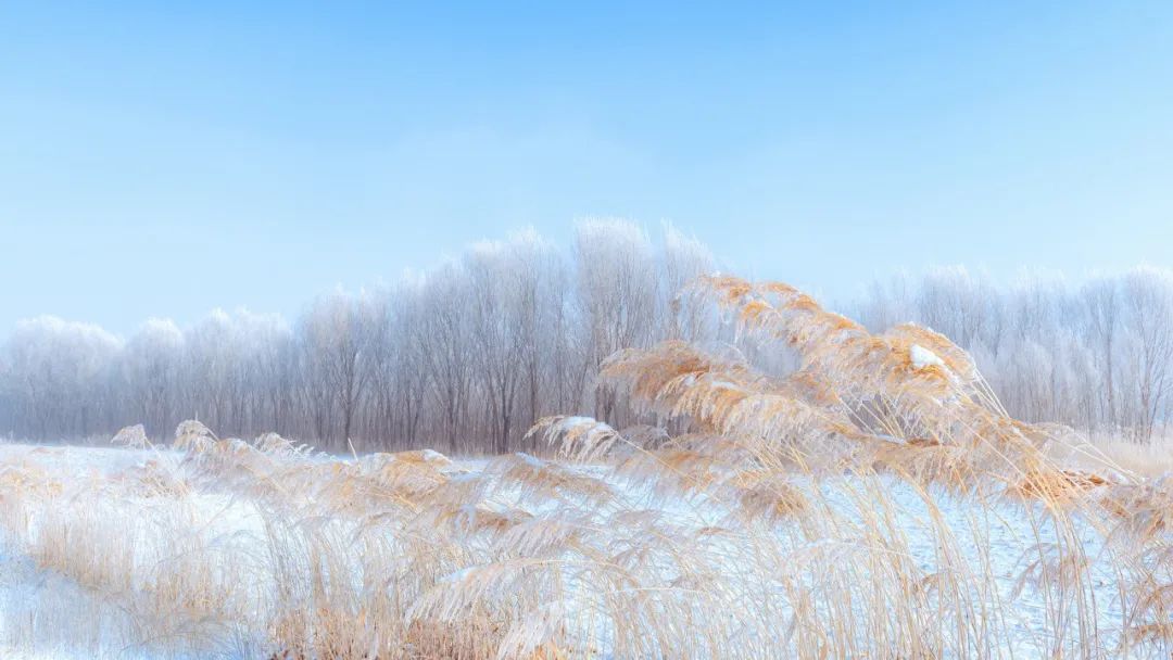 写雪最美的10首诗词,如冰如玉,纯美轻盈,美到灵魂里
