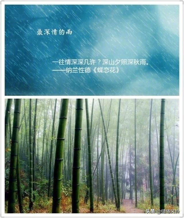 古诗词中的九场雨,从明媚到悲恸,哪一首最让你感伤?