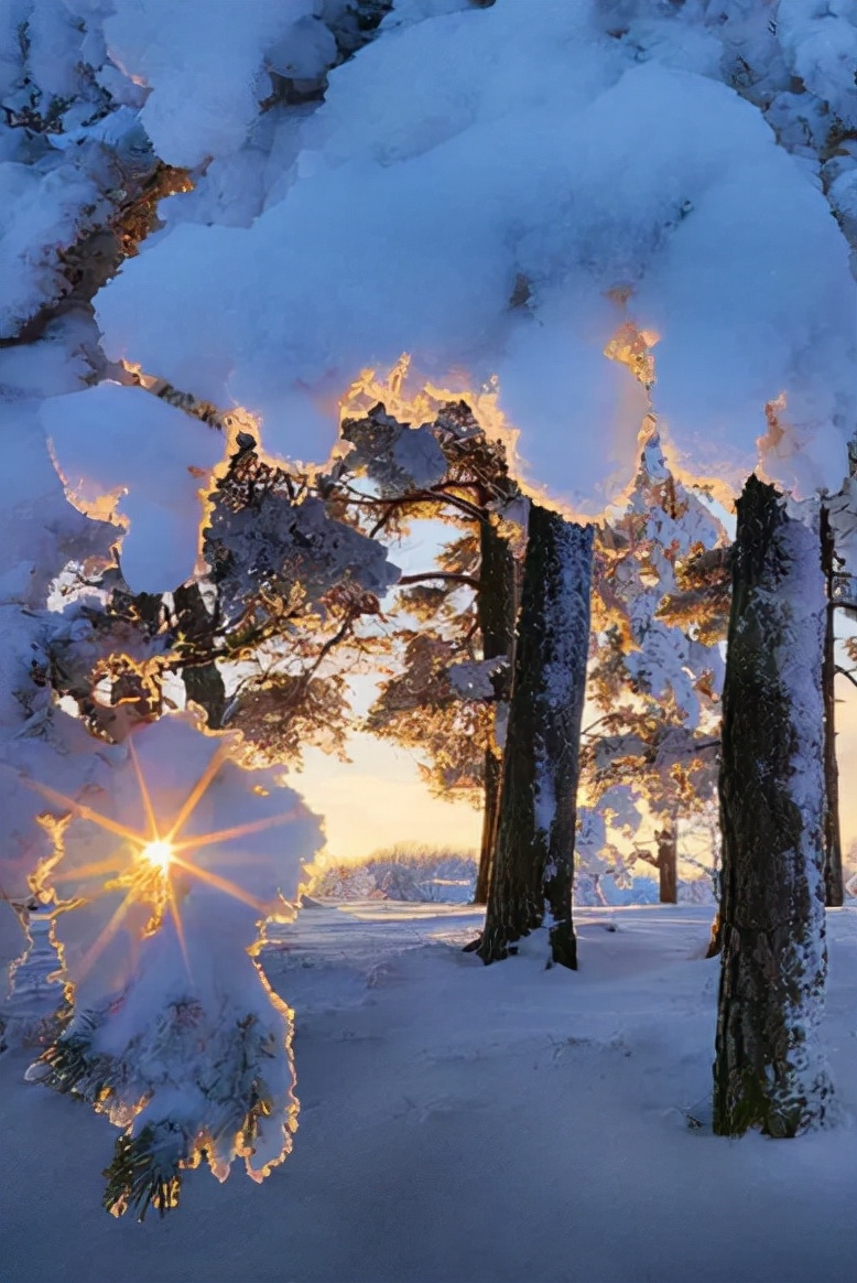 一场大雪美如画,十二首雪景的诗词,欣赏诗人笔下的绝美雪景