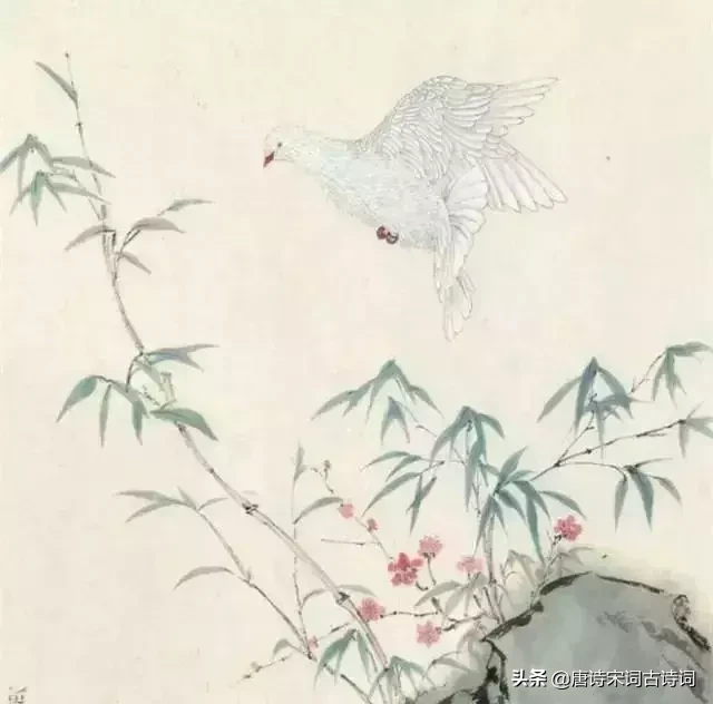 人生百年几今日,这些古诗词告诉我们要珍惜时间!