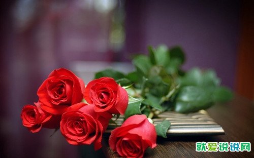 关于好聚好散的句子
