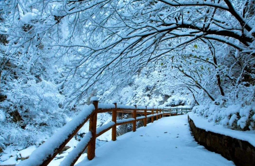 一场大雪美如画,十二首雪景的诗词,欣赏诗人笔下的绝美雪景