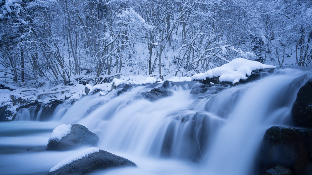 一场大雪美如画,十二首雪景的诗词,欣赏诗人笔下的绝美雪景