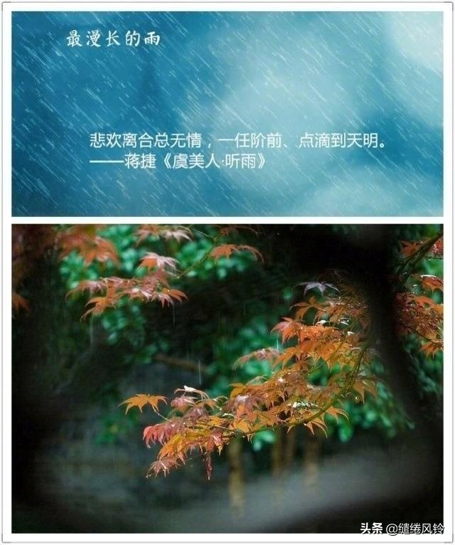 古诗词中的九场雨,从明媚到悲恸,哪一首最让你感伤?
