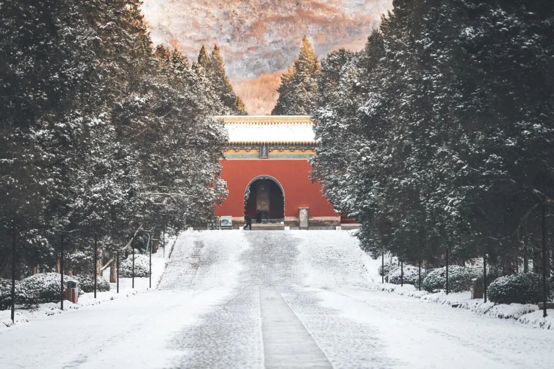 最美的10首大寒诗词,岁暮雪落,梅花暗折,唯美了整个冬天