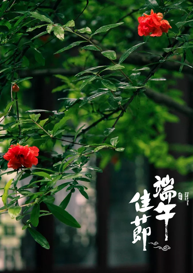 「诗词鉴赏」十五首端午的古诗词,写尽端午的习俗与万般思绪