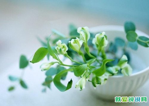 奇葩说李淡爆笑语录