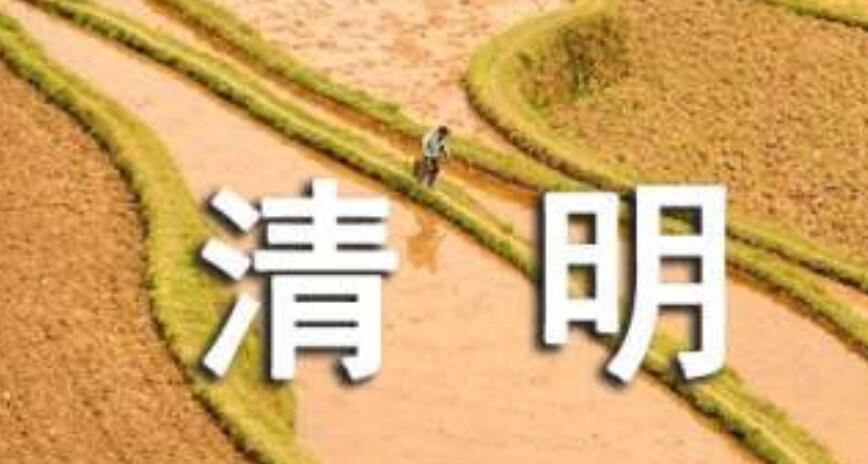 2022清明节说说思念亲人的句子(精选100句)