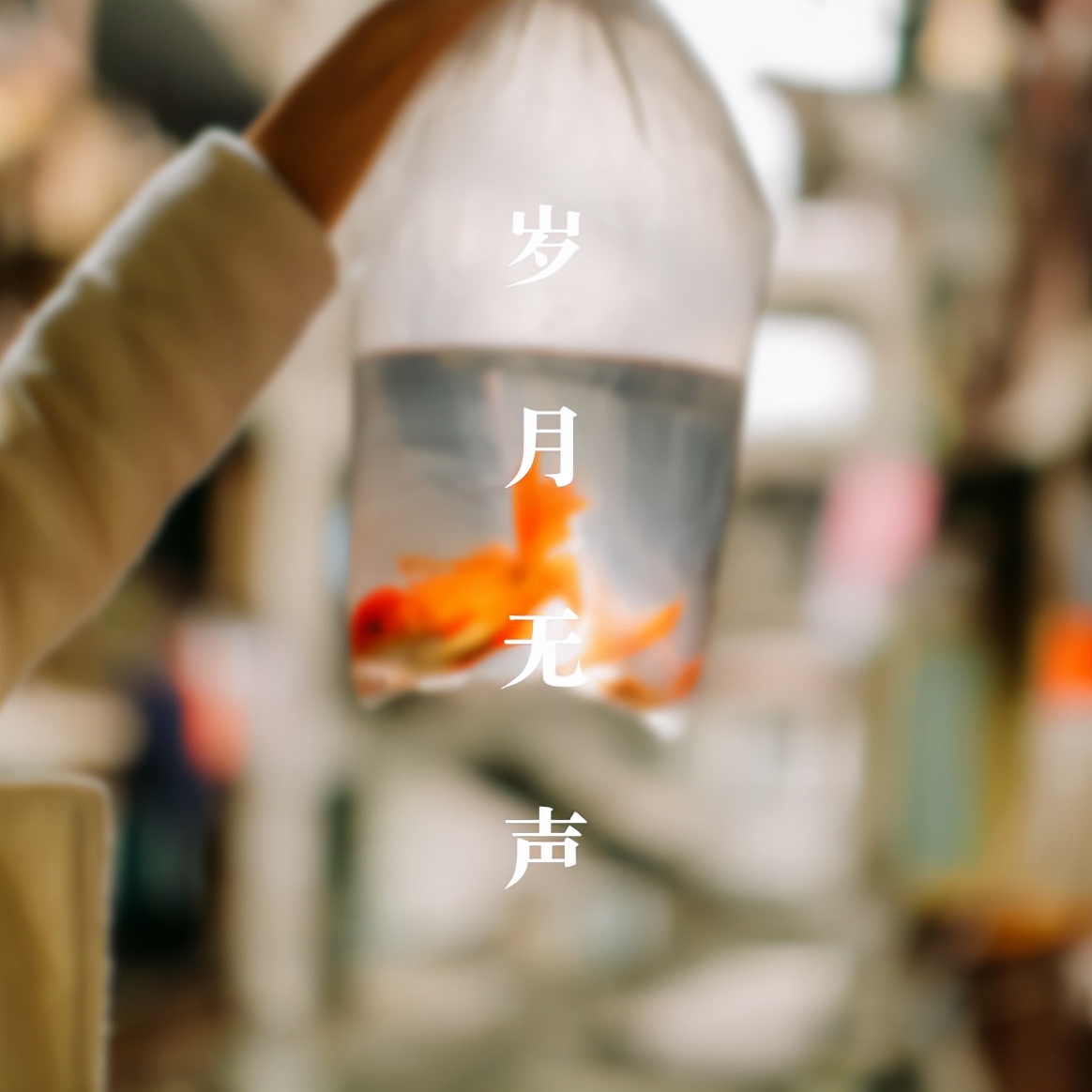 「诗词鉴赏」时光匆匆催人老,感慨岁月催人老的古诗词,珍惜当下
