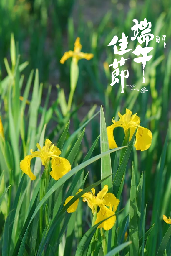 「诗词鉴赏」十五首端午的古诗词,写尽端午的习俗与万般思绪