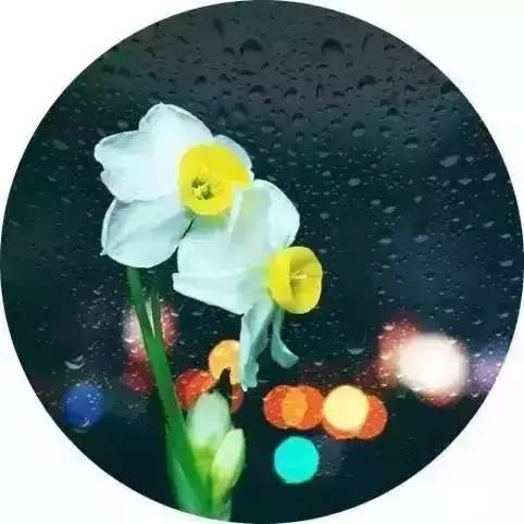 今日“雨水”·九首古诗词,送你一场浪漫唯美的春雨