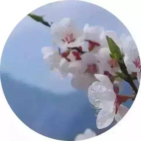 今日“雨水”·九首古诗词,送你一场浪漫唯美的春雨