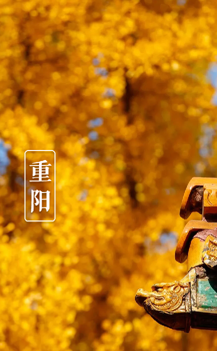 又是一年重阳节,十三首重阳节的诗词,今年重阳,我们在诗意度过