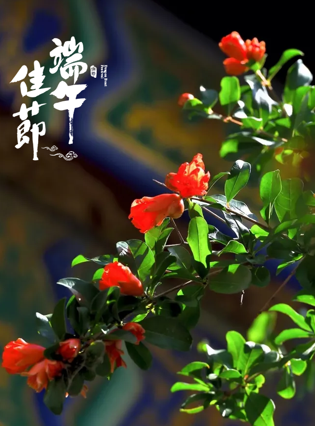 「诗词鉴赏」十五首端午的古诗词,写尽端午的习俗与万般思绪