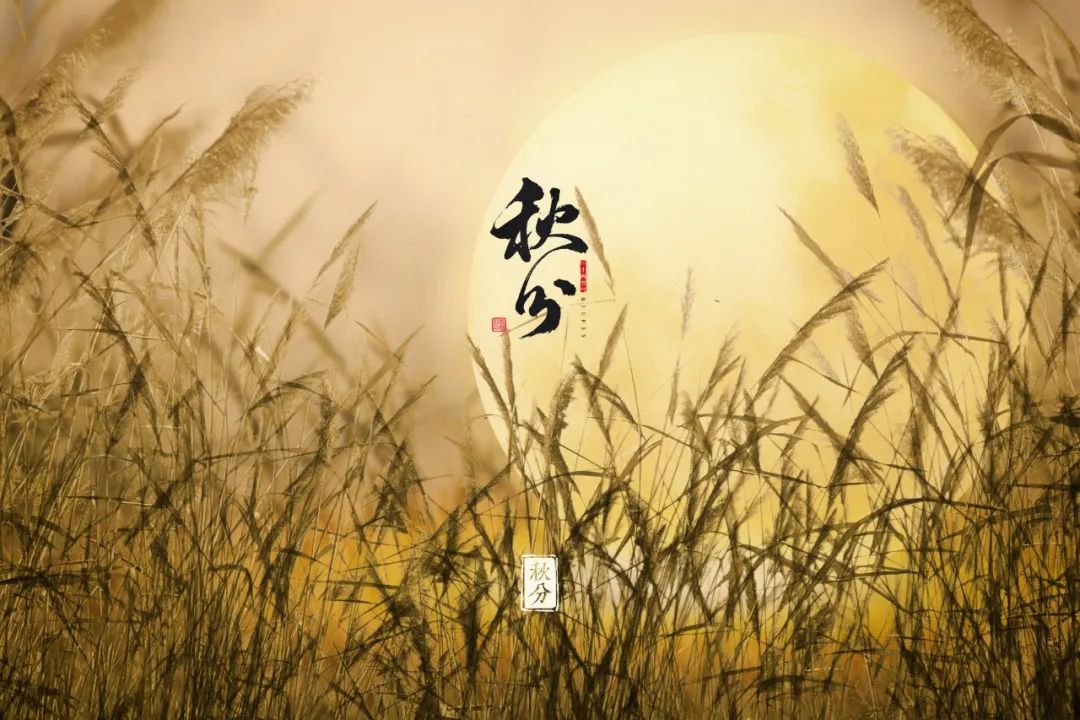 10首最美的秋分诗词,浅遇一季秋,足以醉红尘