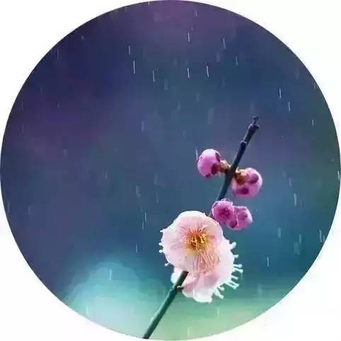 今日“雨水”·九首<a