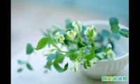 奇葩说李淡爆笑语录