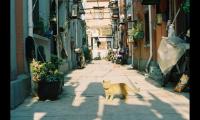 旅游结束的朋友圈说说(旅游完回家怎么发朋友圈)