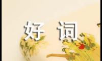 小学五年级好词好句好段