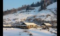 春天下雪的诗句唯美（赞美春天雪景的诗句）