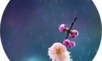 关于雨的诗句唯美（雨的句子短句唯美）