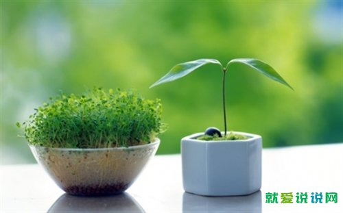 父亲节短信祝福语