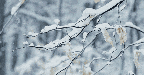 「诗词鉴赏」十首写雪的著名诗词,你最喜欢哪一首?
