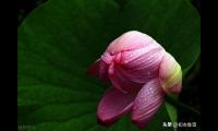 二十四节气立秋古诗（立春古诗词大全(）)