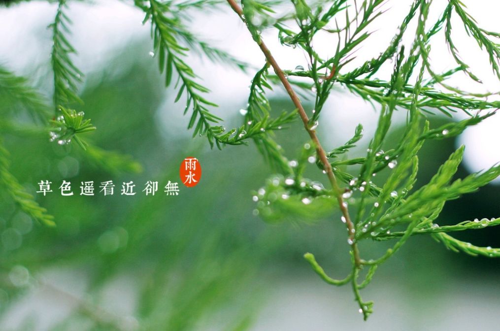 【诗词鉴赏】雨水至,一起品读雨水时节的古诗词吧!