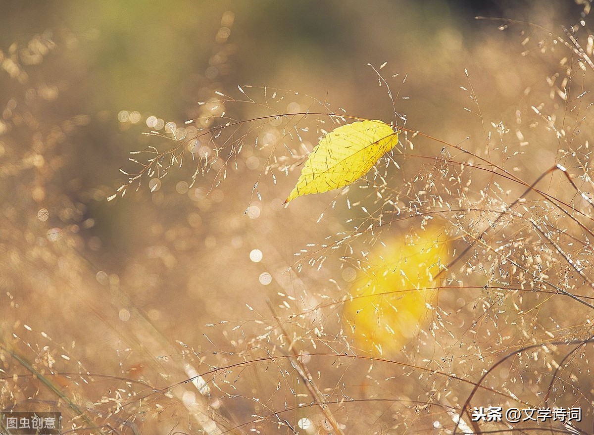 一天一首古诗词 | 宋代,柳永《八声甘州·对潇潇暮雨洒江天》