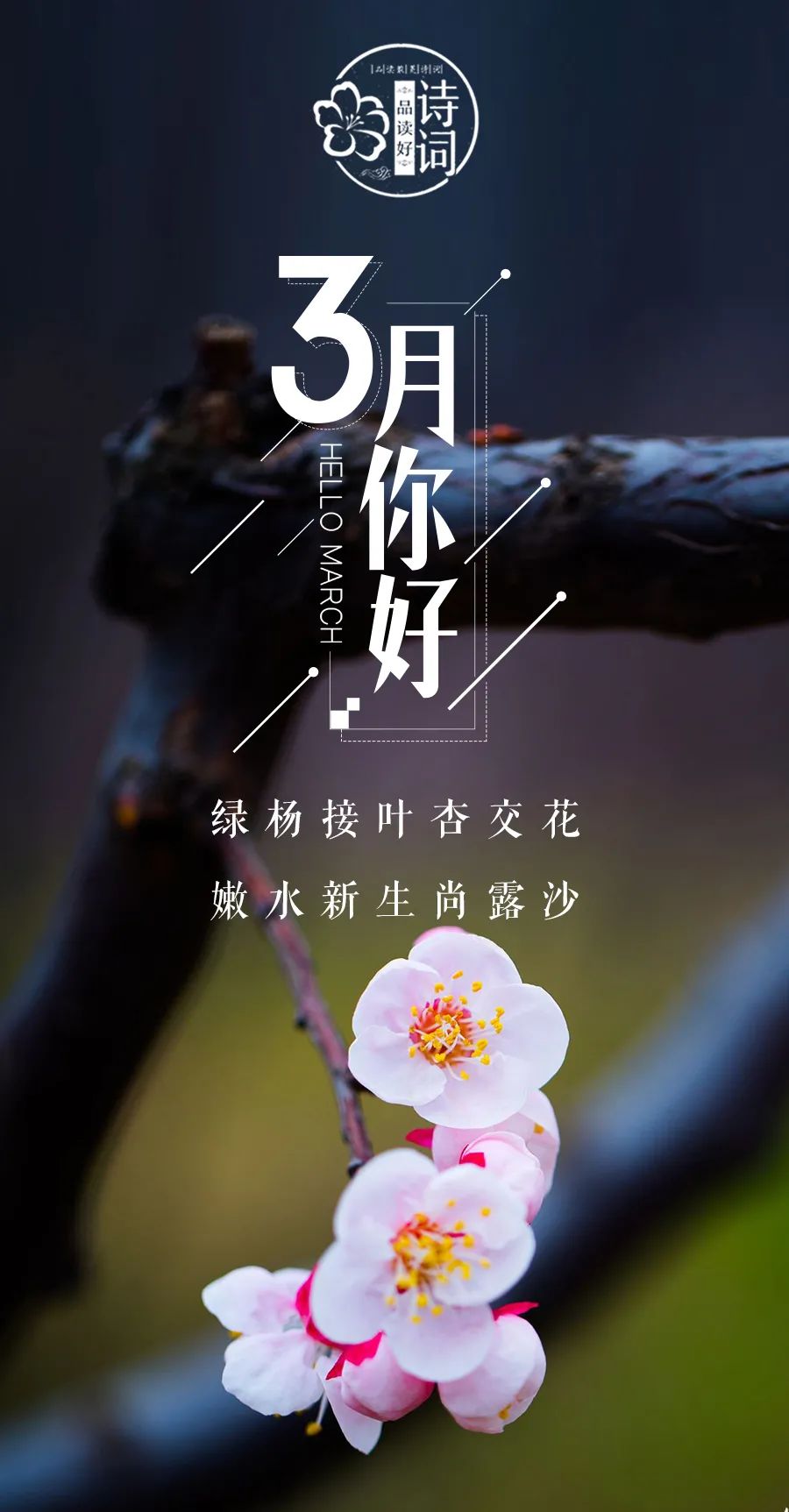 三月 你好,许你人间三月天!那些关于春天的诗句,感受春风拂面