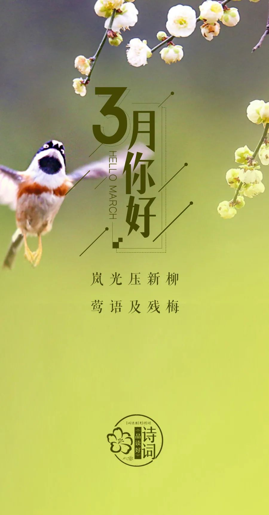三月 你好,许你人间三月天!那些关于春天的诗句,感受春风拂面