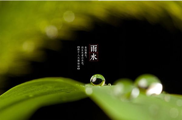 【诗词鉴赏】雨水至,一起品读雨水时节的古诗词吧!